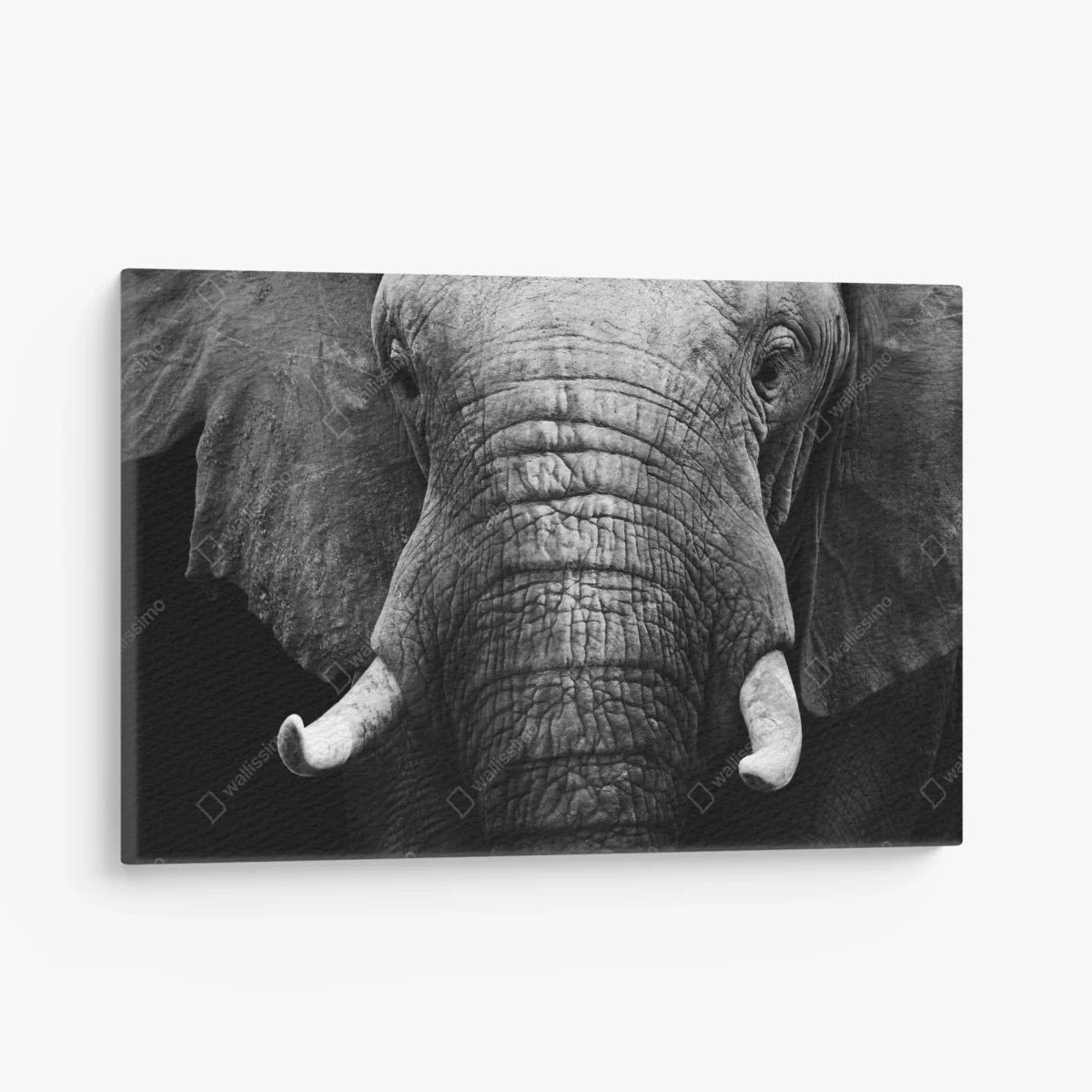 Tableau sur toile portrait d'éléphant en noir et blanc – Wallnifity® Tableau sur toile portrait d'éléphant en noir et blanc – Wallnifity®