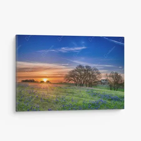 Tableau sur toile champ de bluebonnets du Texas au lever du soleil – Wallnifity®