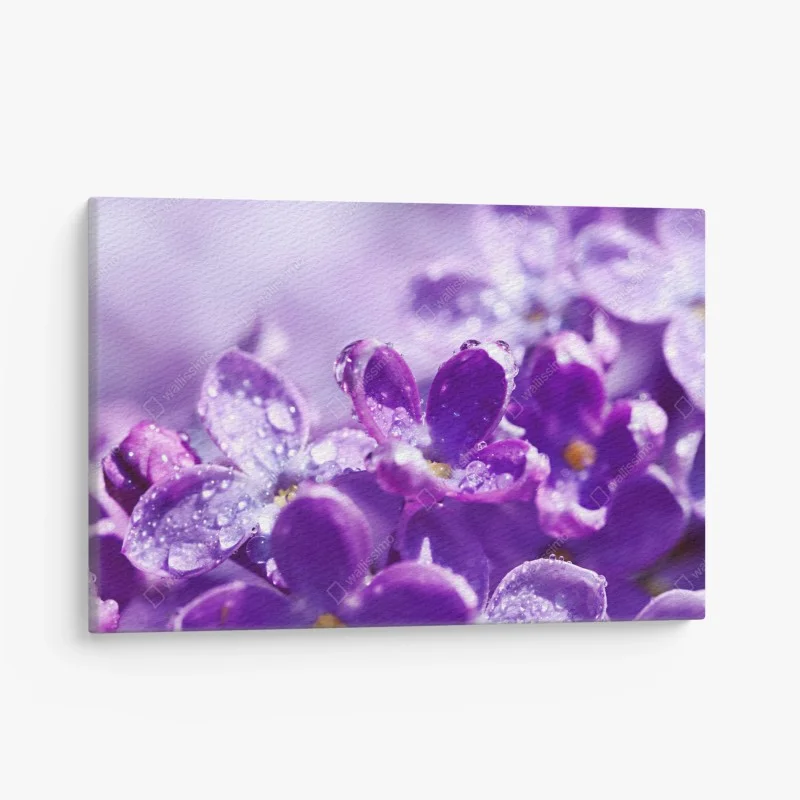 Tableaux sur toile – Wallnifity®