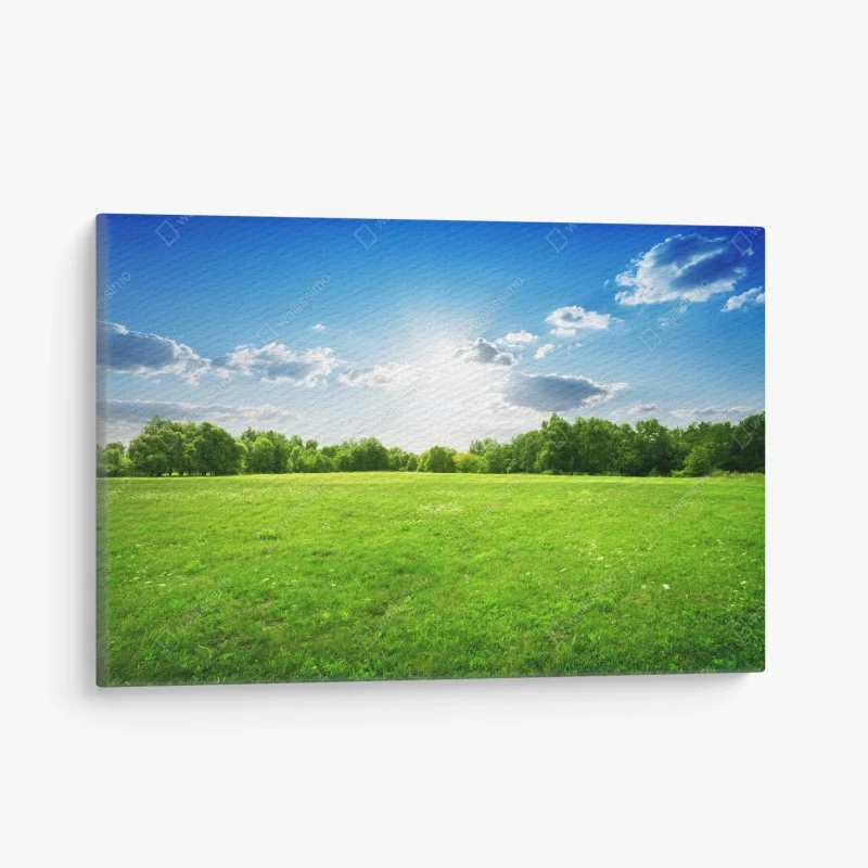 Biophilique – Wallnifity®
