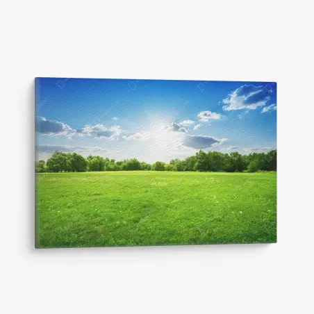 Tableau sur toile champ verdoyant sous un ciel ensoleillé – Wallnifity®