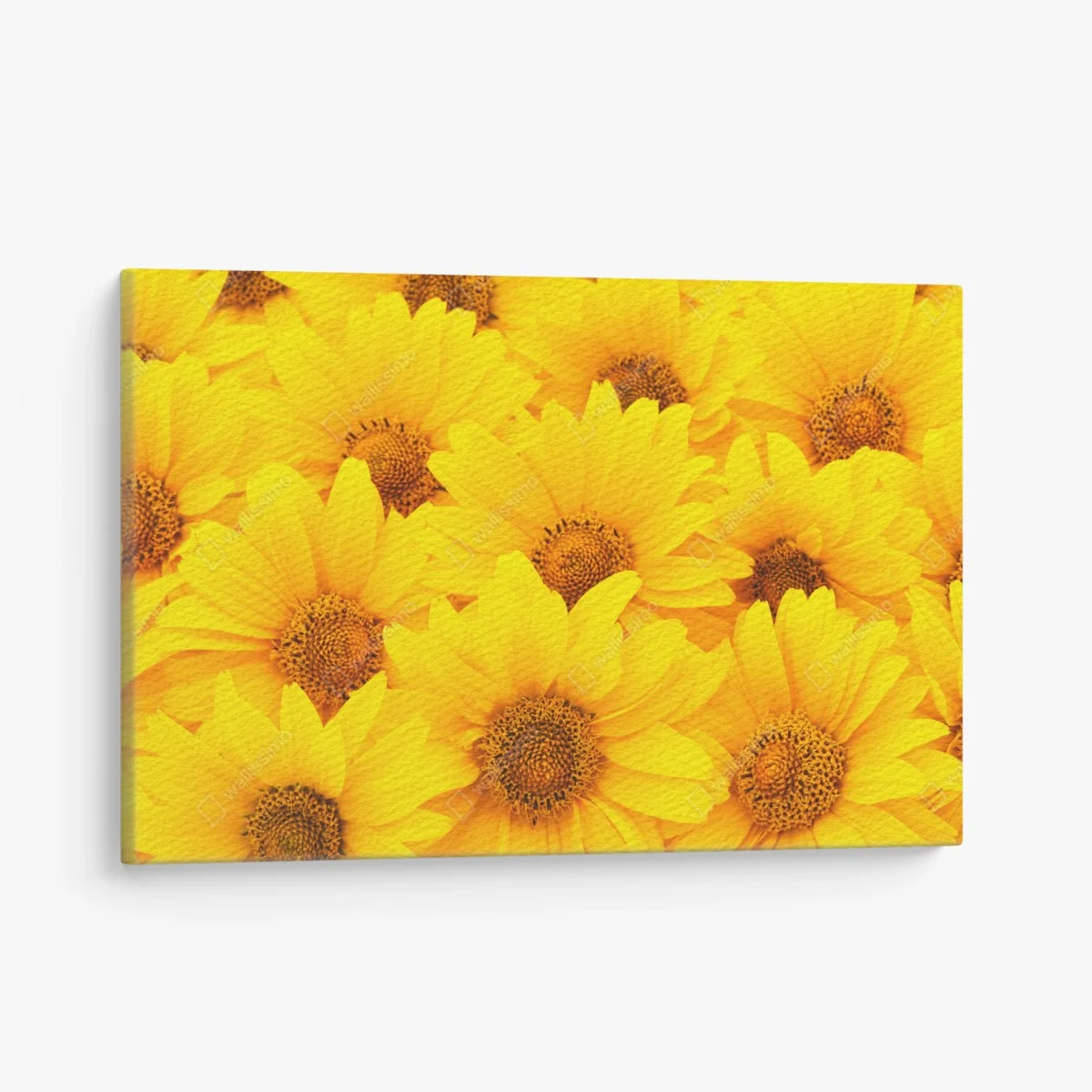 Tableau sur toile éclat de tournesols jaunes – Wallnifity® Tableau sur toile éclat de tournesols jaunes – Wallnifity®
