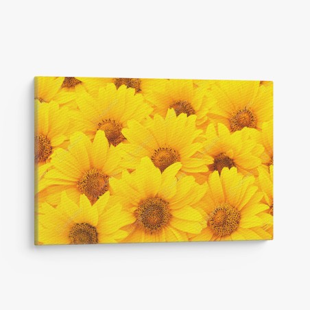 Tableau sur toile éclat de tournesols jaunes – Wallnifity®