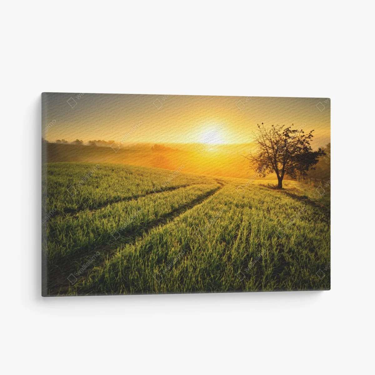 Tableau sur toile aube dorée sur champs vallonnés – Wallnifity® Tableau sur toile aube dorée sur champs vallonnés – Wallnifity®