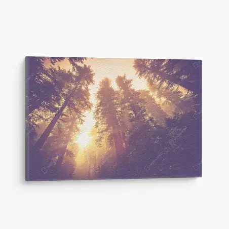 Tableau sur toile forêt brumeuse aux rayons dorés – Wallnifity®