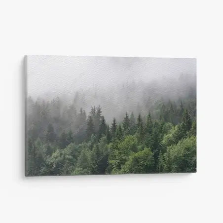 Tableau sur toile brume mystérieuse sur la forêt de conifères – Wallnifity®