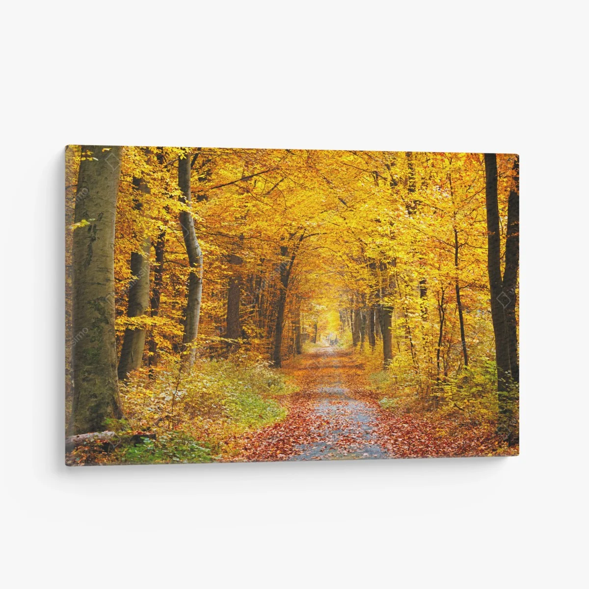 Tableau sur toile chemin d'automne en forêt dorée – Wallnifity® Tableau sur toile chemin d'automne en forêt dorée – Wallnifity®