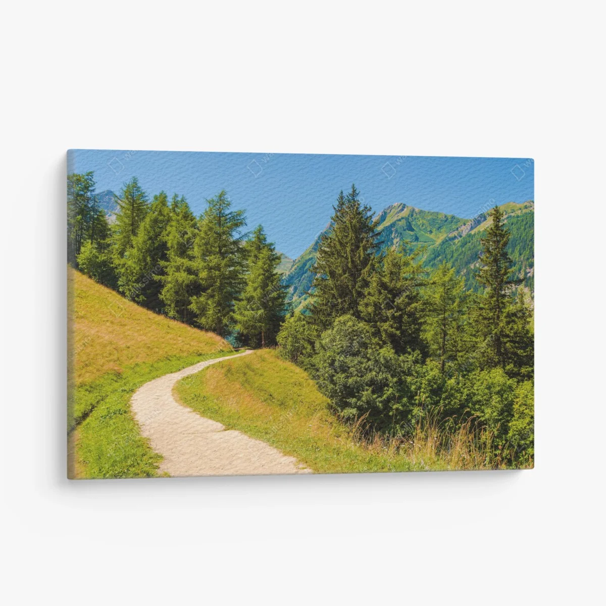 Tableau sur toile sentier estival dans les Alpes suisses – Wallnifity® Tableau sur toile sentier estival dans les Alpes suisses – Wallnifity®