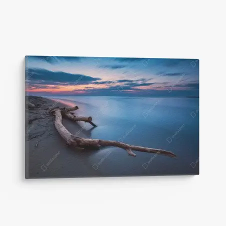 Tableau sur toile bois flotté au crépuscule – Wallnifity®