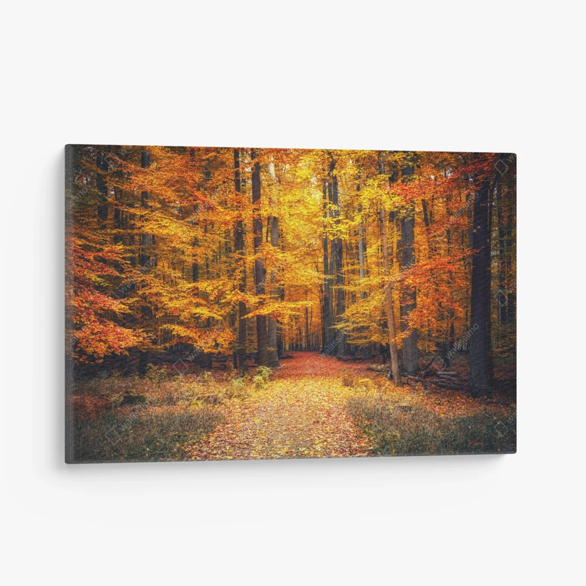 Tableau sur toile forêt d'automne en lumière dorée – Wallnifity® Tableau sur toile forêt d'automne en lumière dorée – Wallnifity®