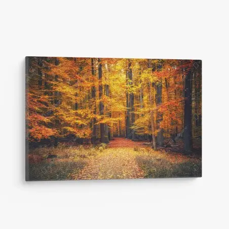 Tableau sur toile forêt d'automne en lumière dorée – Wallnifity®