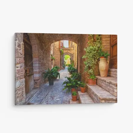 Tableau sur toile ruelle de Spello aux pots de plantes – Wallnifity®