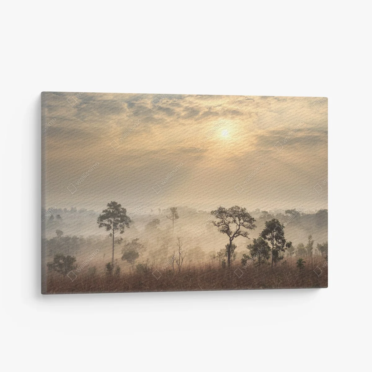 Tableau sur toile brume dorée sur la savane de Thaïlande – Wallnifity® Tableau sur toile brume dorée sur la savane de Thaïlande – Wallnifity®