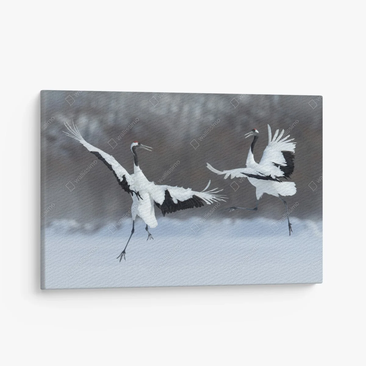 Tableau sur toile danse hivernale des grues à couronne rouge de Hokkaido – Wallnifity® Tableau sur toile danse hivernale des grues à couronne rouge de Hokkaido – Wallnifity®