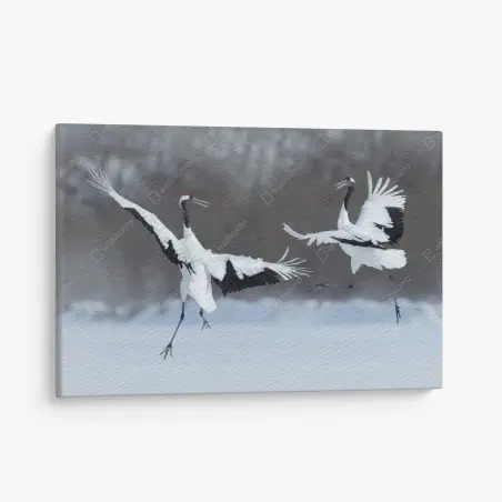 Tableau sur toile danse hivernale des grues à couronne rouge de Hokkaido – Wallnifity®