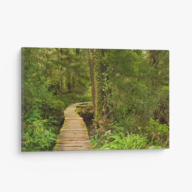 Forêts – Wallnifity®