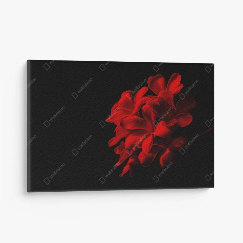 Tableaux sur toile – Wallnifity®