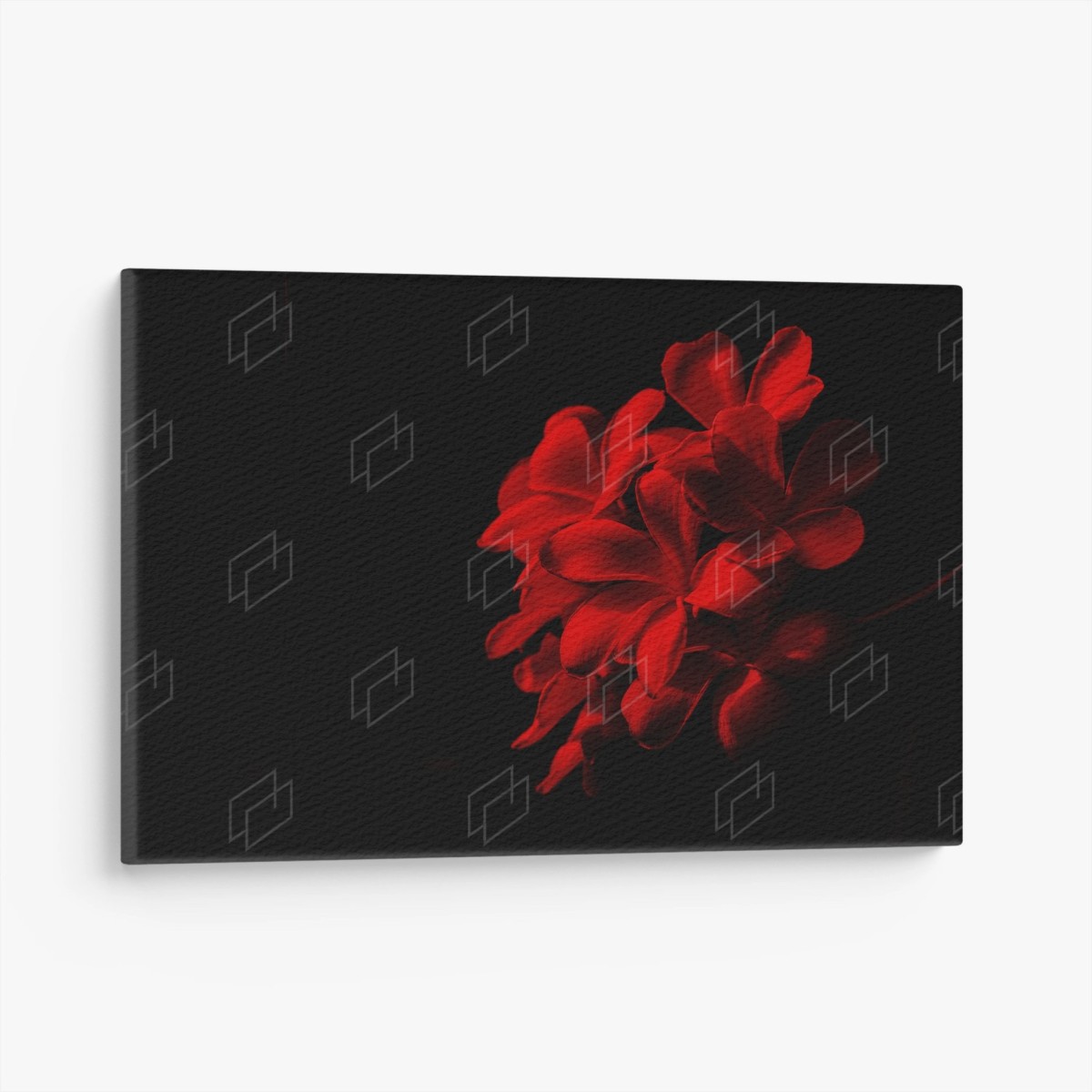 Tableau sur toile frangipanier rouge sur fond noir – Wallnifity®
