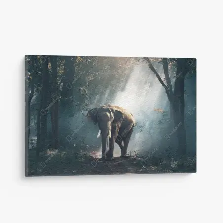 Tableau sur toile éléphant majestueux dans la forêt brumeuse – Wallnifity®