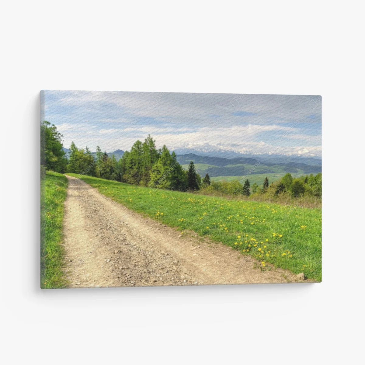 Tableau sur toile chemin de gravier printanier, Gorce, Pologne – Wallnifity® Tableau sur toile chemin de gravier printanier, Gorce, Pologne – Wallnifity®