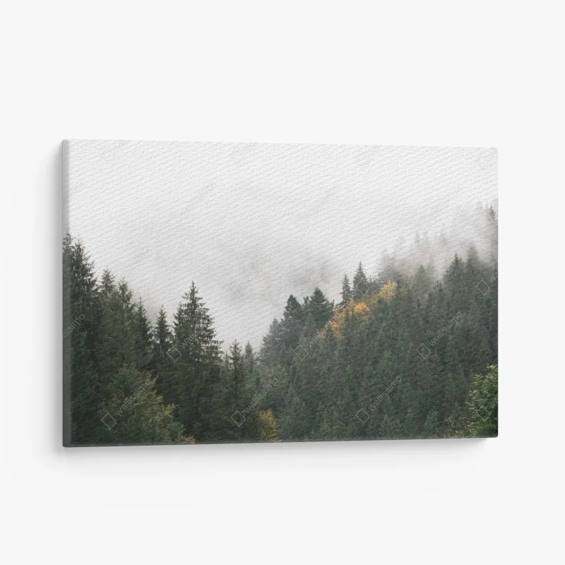 Tableaux sur toile – Wallnifity®