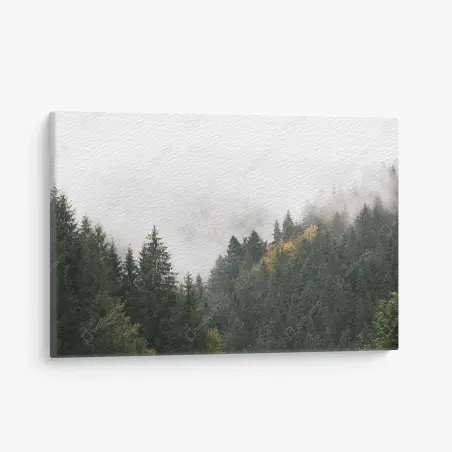 Tableau sur toile forêt de montagne embrumée – Wallnifity®