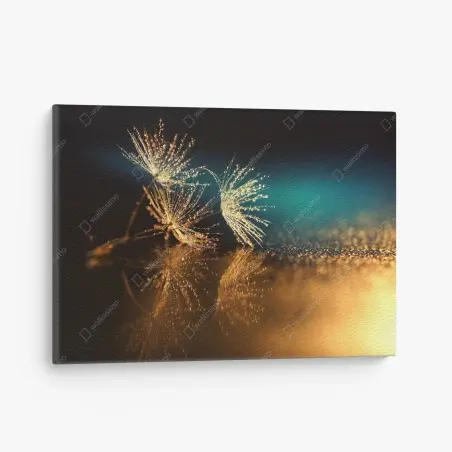 Tableau sur toile pissenlits en rosée dorée – Wallnifity®