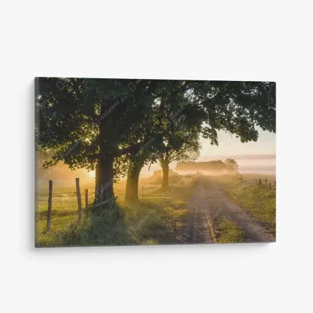 Tableau sur toile aube dorée sur le chemin de campagne – Wallnifity®