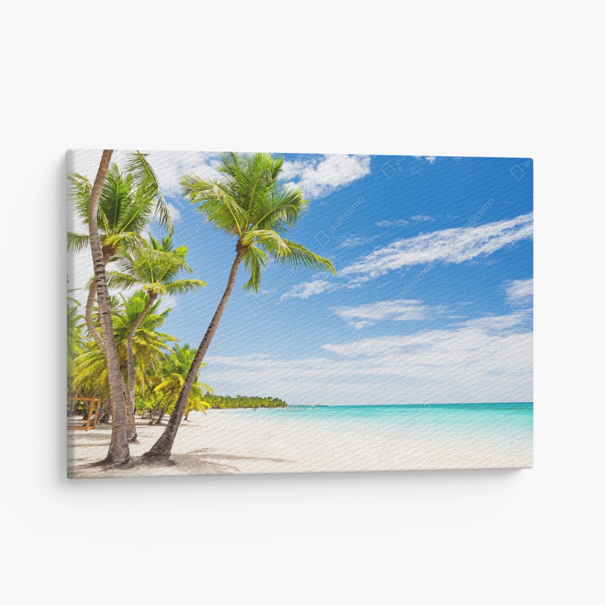 Tableau sur toile oasis de palmiers à Punta Cana – Wallnifity®