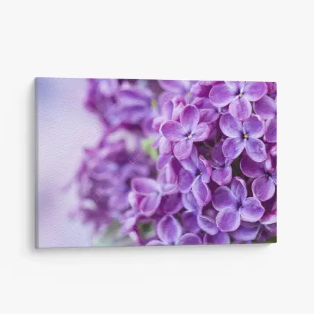 Tableau sur toile lilas violets en gros plan – Wallnifity®
