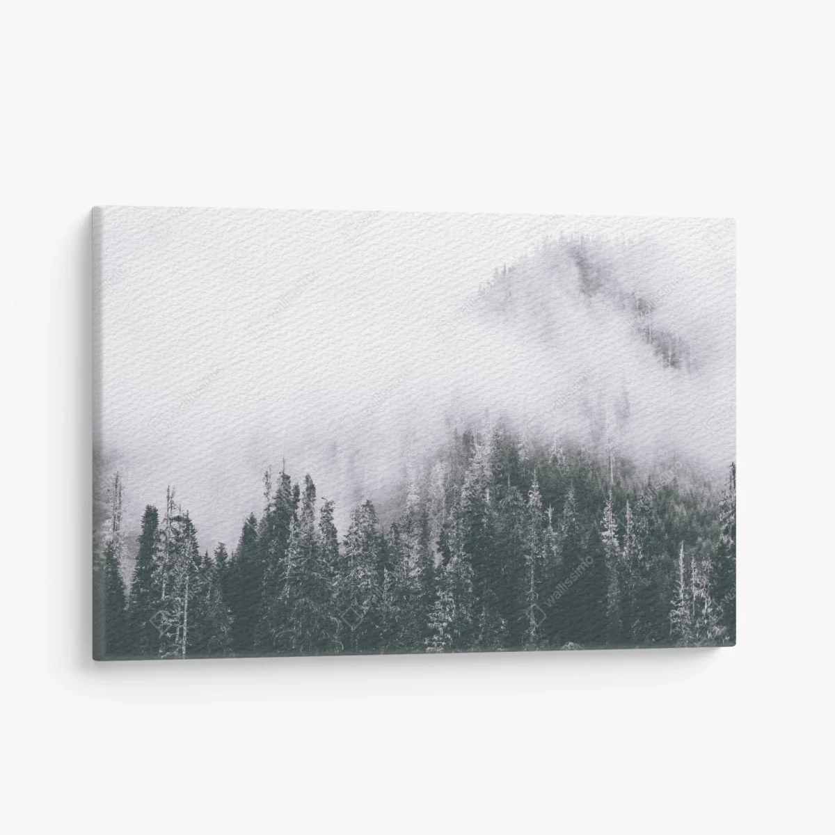 Tableau sur toile forêt brumeuse en noir et blanc – Wallnifity® Tableau sur toile forêt brumeuse en noir et blanc – Wallnifity®