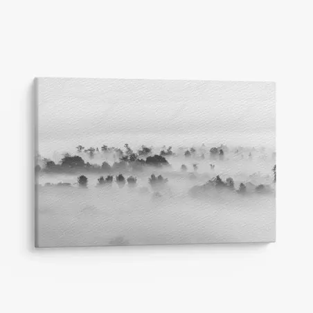 Tableau sur toile brume sur la forêt en noir et blanc – Wallnifity®