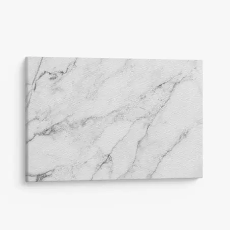 Tableau sur toile marbre blanc veiné minimaliste – Wallnifity®