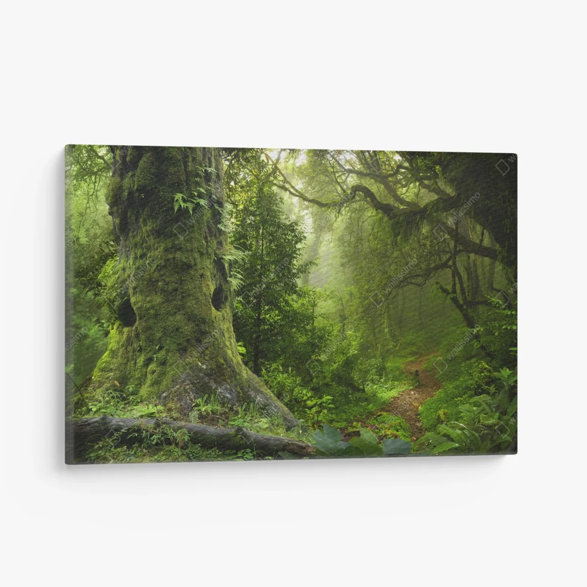 Tableau sur toile forêt enchantée au lever de brume – Wallnifity® Tableau sur toile forêt enchantée au lever de brume – Wallnifity®