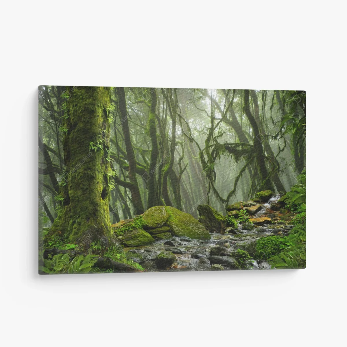 Tableau sur toile ruisseau dans la forêt embrumée – Wallnifity® Tableau sur toile ruisseau dans la forêt embrumée – Wallnifity®