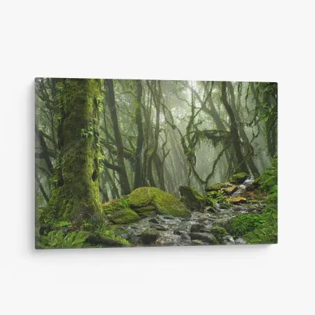 Tableau sur toile ruisseau dans la forêt embrumée – Wallnifity®