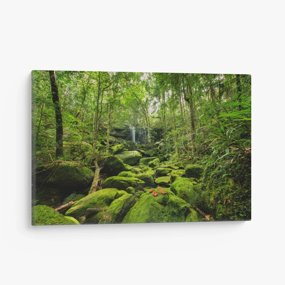 Tableau sur toile cascade et mousse verte dans la forêt tropicale – Wallnifity® Tableau sur toile cascade et mousse verte dans la forêt tropicale – Wallnifity®