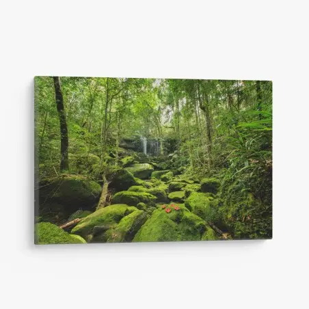 Tableau sur toile cascade et mousse verte dans la forêt tropicale – Wallnifity®
