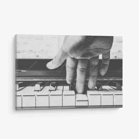 Tableau sur toile main expressive sur clavier de piano en noir et blanc – Wallnifity®