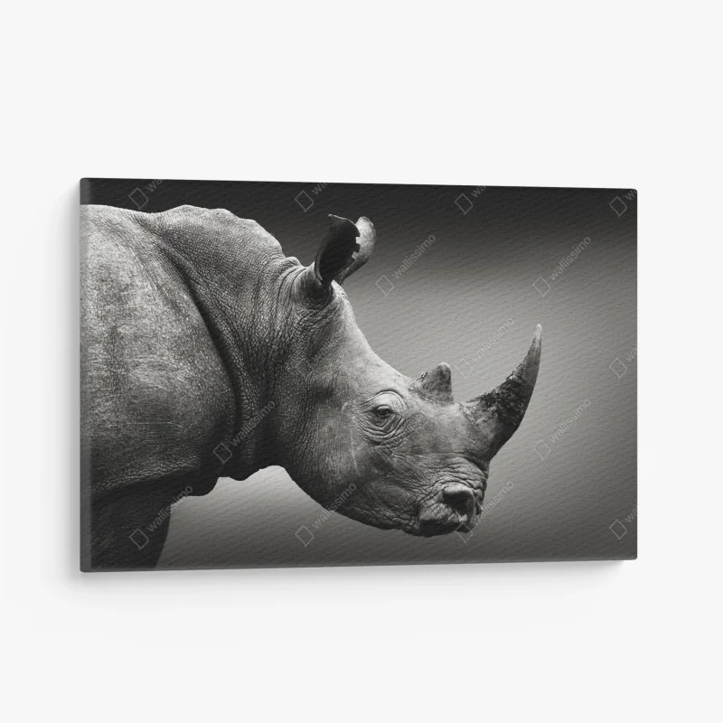 Tableaux sur toile – Wallnifity®