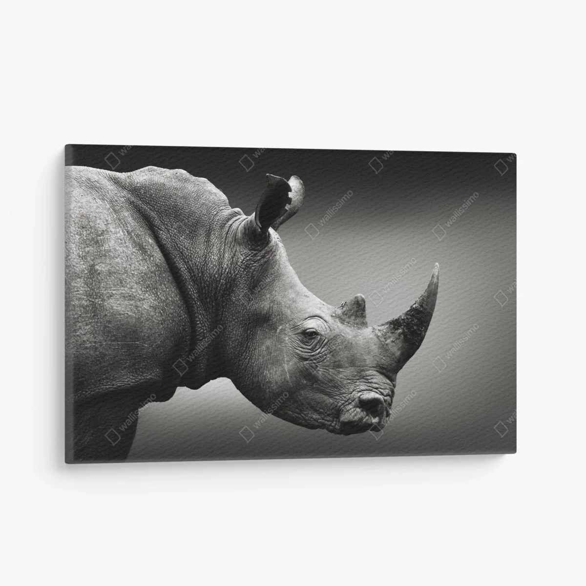 Tableau sur toile portrait monochrome de rhinocéros en gros plan – Wallnifity® Tableau sur toile portrait monochrome de rhinocéros en gros plan – Wallnifity®