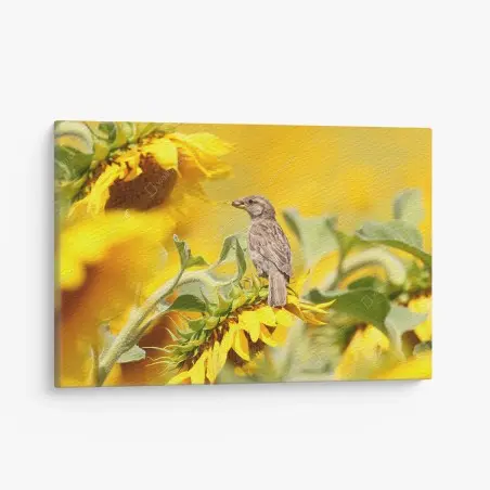 Tableau sur toile moineau sur tournesol lumineux – Wallnifity®