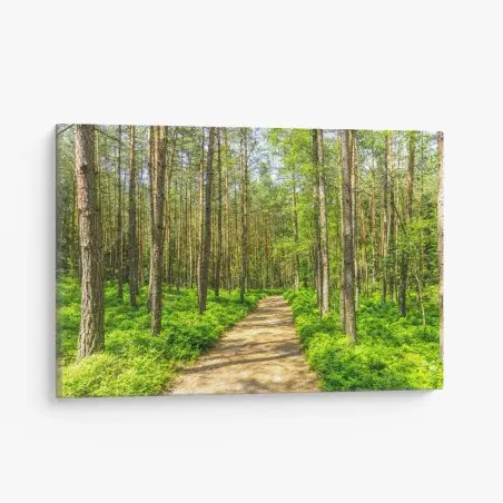 Tableau sur toile chemin en forêt verdoyante – Wallnifity®