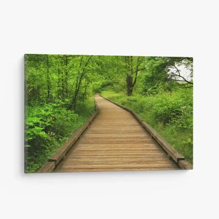 Tableau sur toile sentier en bois verdoyant – Wallnifity®