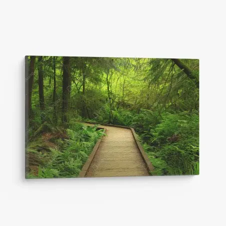 Tableau sur toile sentier boisé baigné de verdure – Wallnifity®