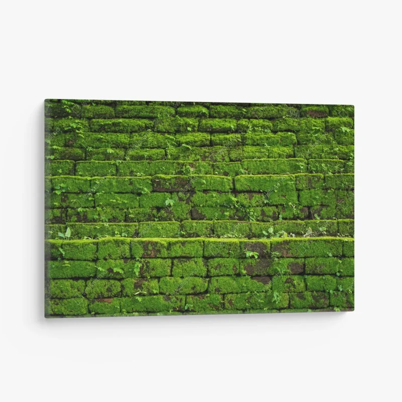 Tableaux sur toile – Wallnifity®