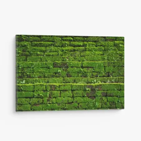 Tableau sur toile mousse verte sur briques anciennes – Wallnifity®