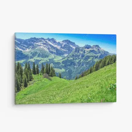 Tableau sur toile panorama estival des Alpes Suisses à Engelberg – Wallnifity®