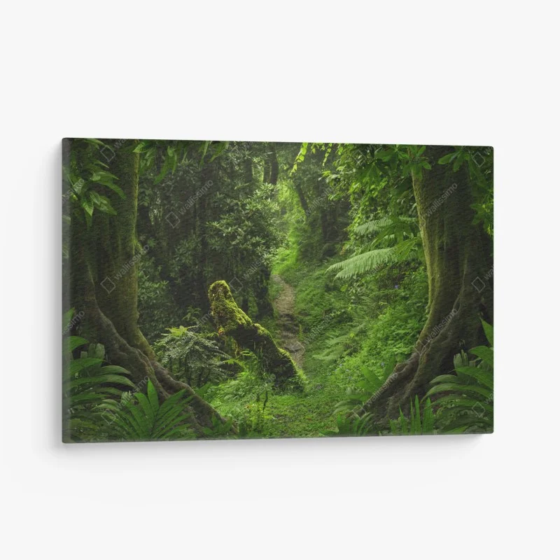 Tableaux sur toile – Wallnifity®