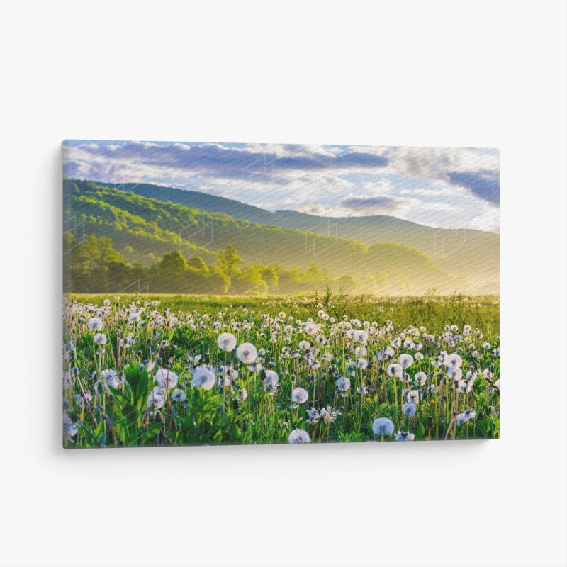 Prairies – Wallnifity®
